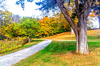 Cemetery