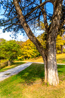 Walnut Ridge Cemetery